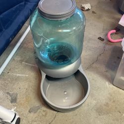 Water Bowl 