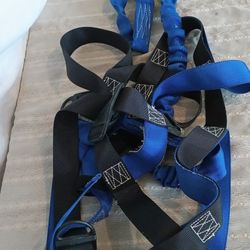 Elk River Tree Trimming Safety Harness