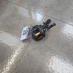 Lews Fishing Reel