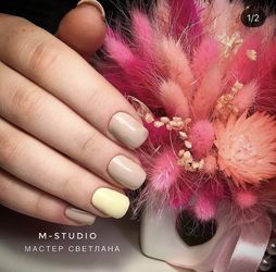 Photo for manicure (arrangement)