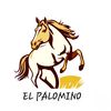 Palomino  