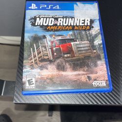 PS4 Game