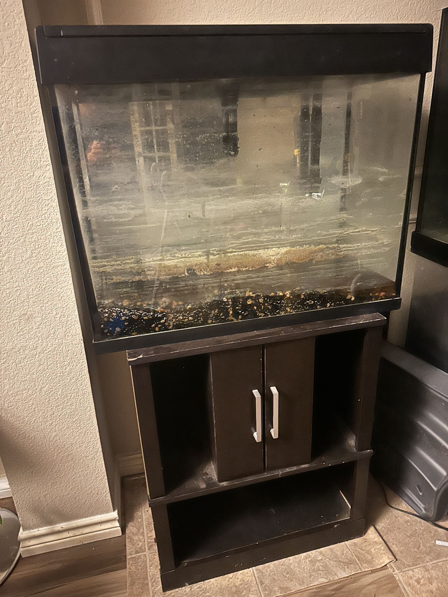 Fish Tank And Stand