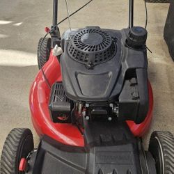 Lawn Mower Gas 