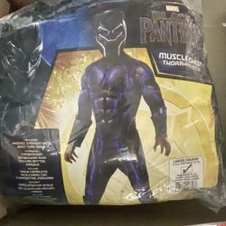 Black Panther Costume 