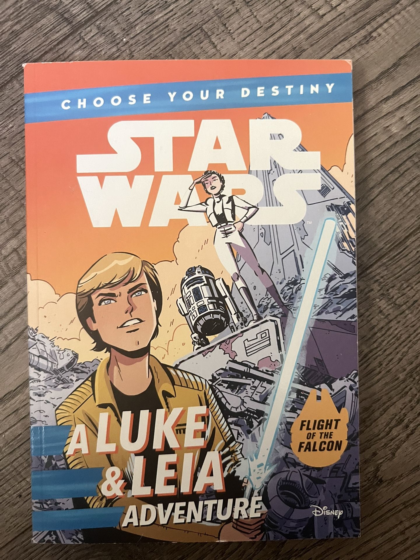 Star Wars Luke And Leia Adventure