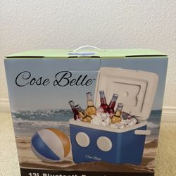 Cooler, 13L Bluetooth Boombox 