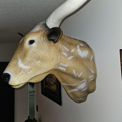 Texas Longhorn Decoration  in good condition.