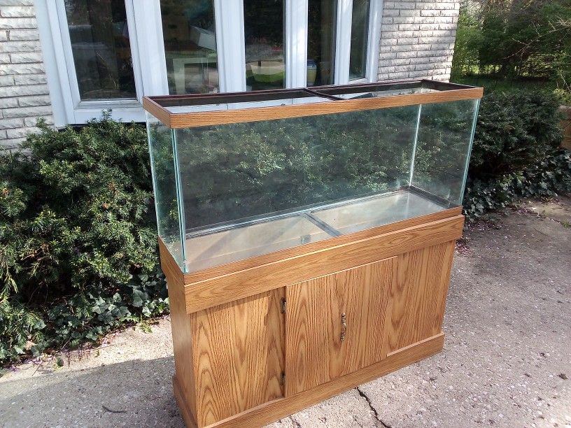 Cabinet Terrarium 