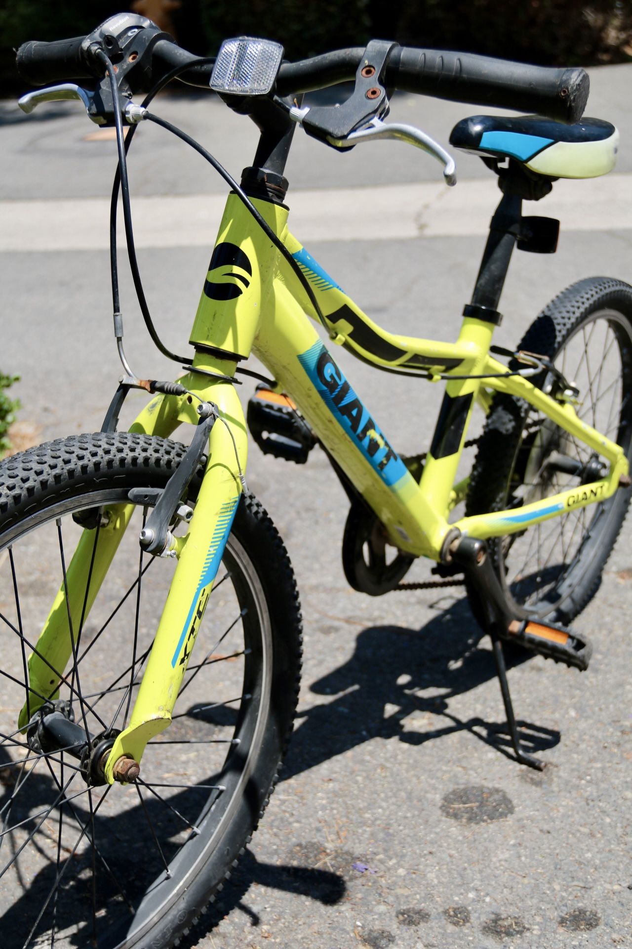 Giant 20” Kids Bike Rides Great No Issues