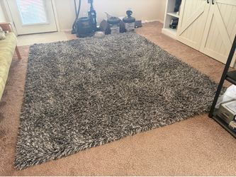 Shag Area Rug (Used)