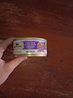 Cat Wet Food