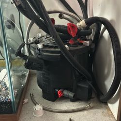 Fluval FX4 And 100 Gallon Tank For Free