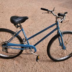 Schwinn 5 Speed Cruiser