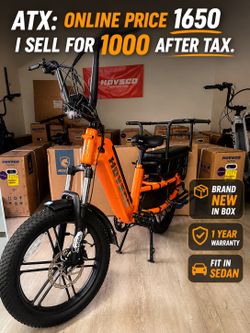 Family ebike - electric bike for family and pet and kid