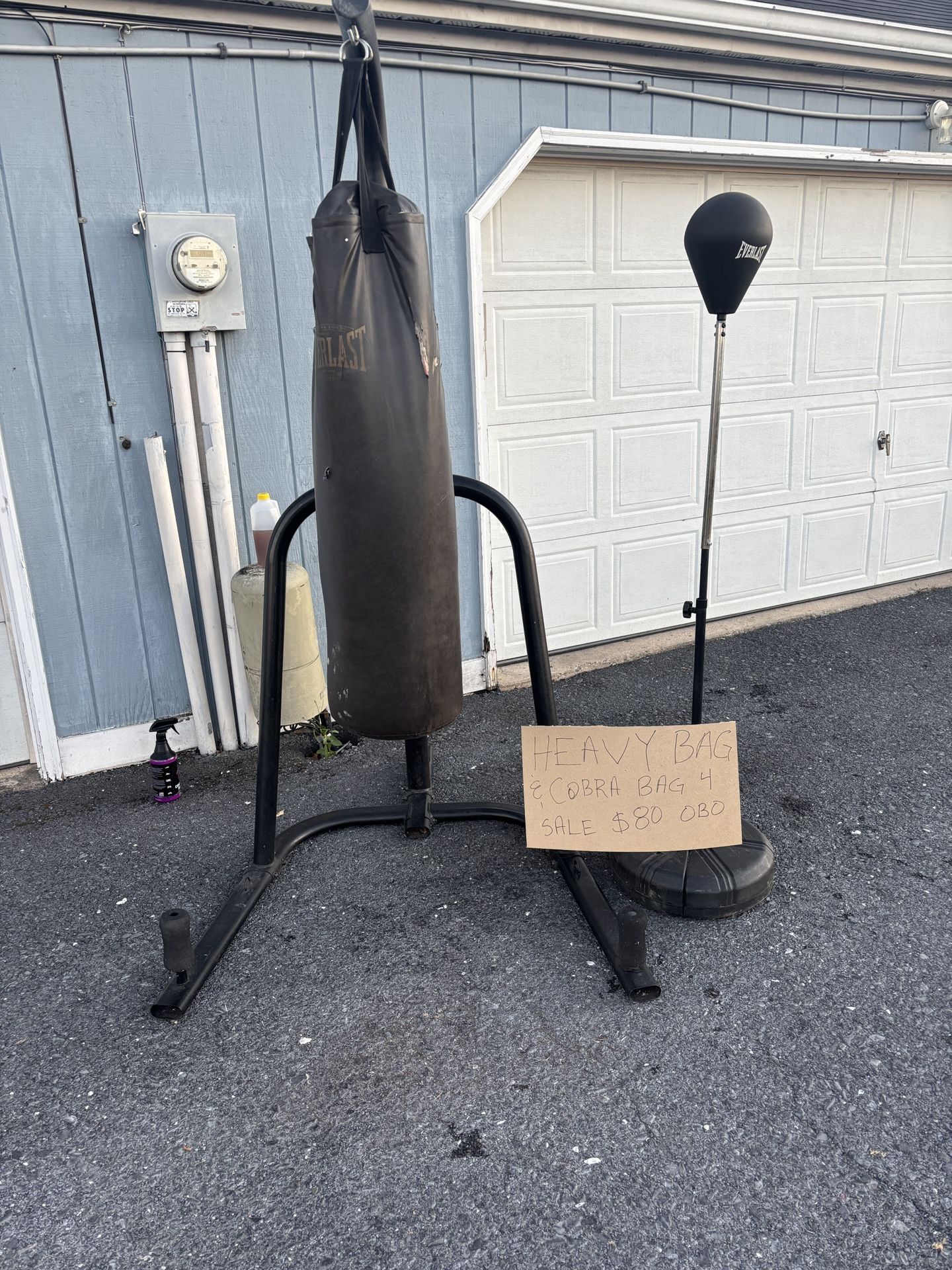Everlast Punching Bags