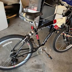 Regular Adult Bike