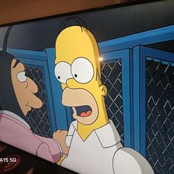 Samsung smart t v sixty five inch works great , no issues