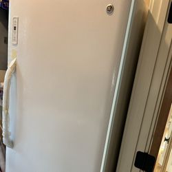Upright Tall GE Freezer $50 