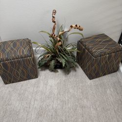 Ottoman - Two - With Storage and Tray