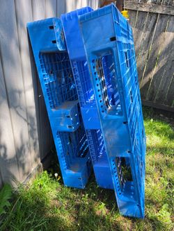 (3) Blue Plastic Pallets