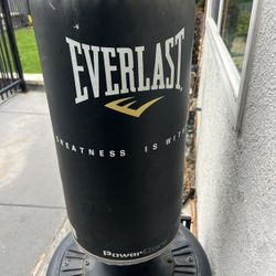 Punching Bag
