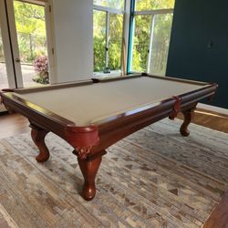 Pool Table Person Mvr