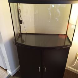 Fish Tank Brand New Bow Front 36 Gallons 