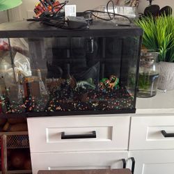 Pecera De Jurassic Park Of 10 Galones 