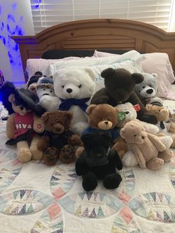 Bear Collection 
