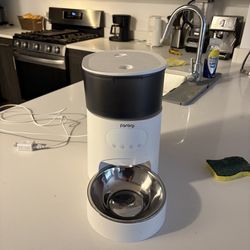 Automatic cat feeder with timer