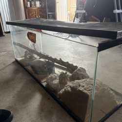 Reptile Enclosure (around 50 To 60 Gallon)