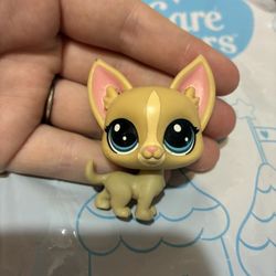 LPS Chihuahua