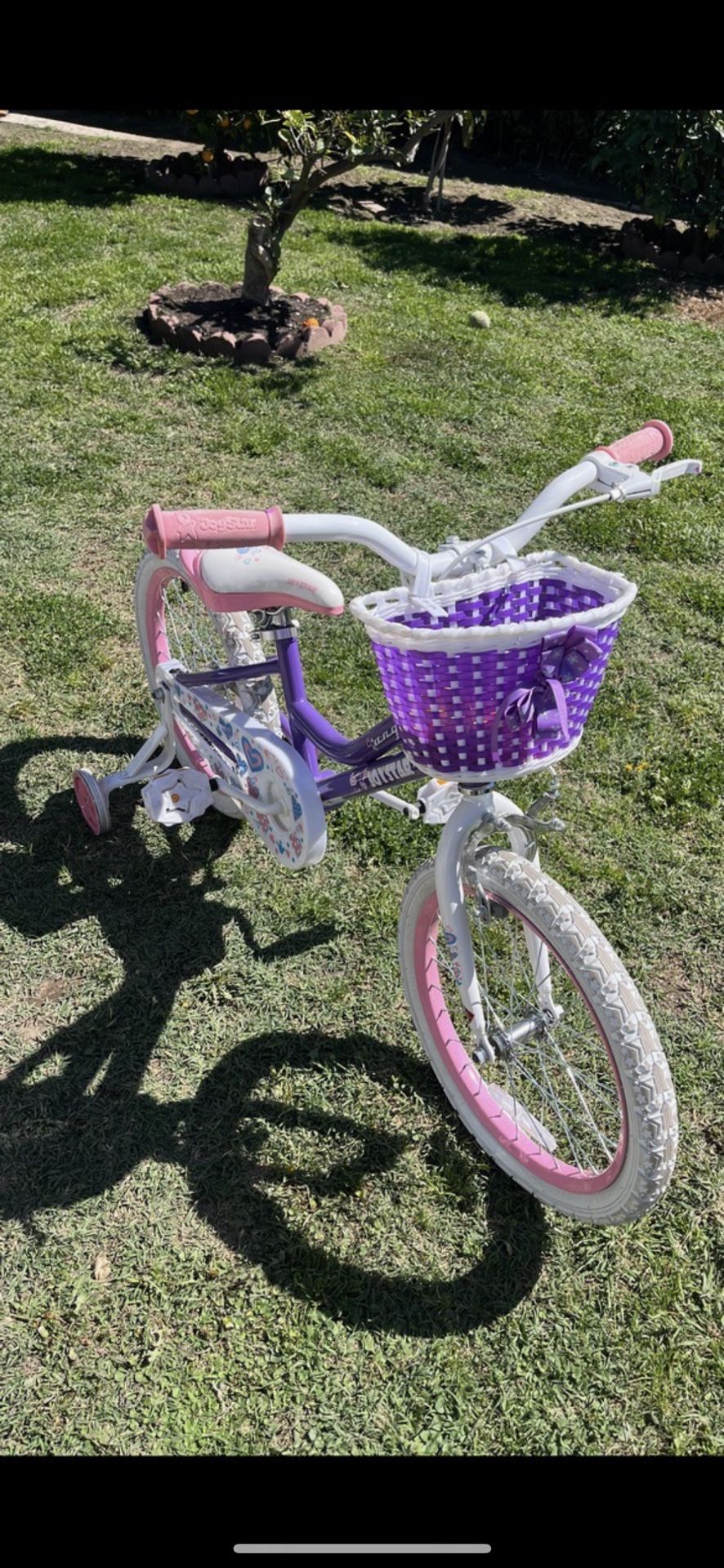 Girl Bike