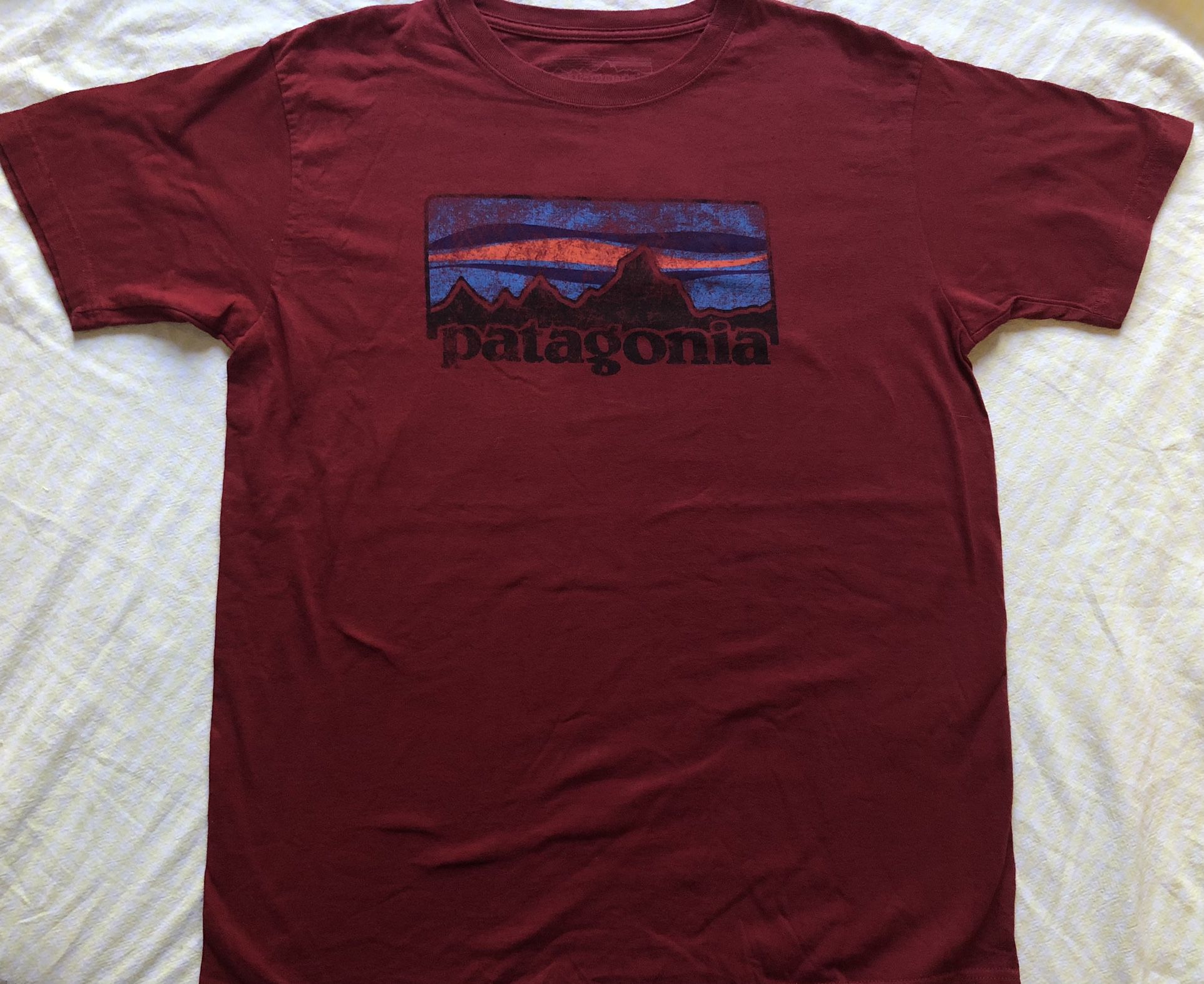 Patagonia P6 Logo Graphic Slim Fit T-Shirt Red Men's Large L Spellout