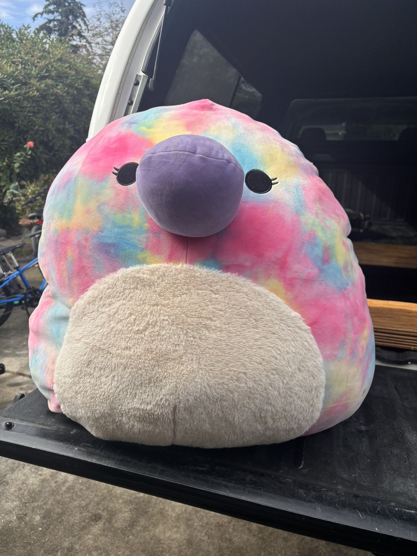 Giant squishmallow