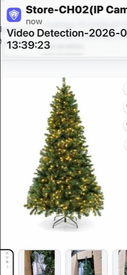 X MAS trees