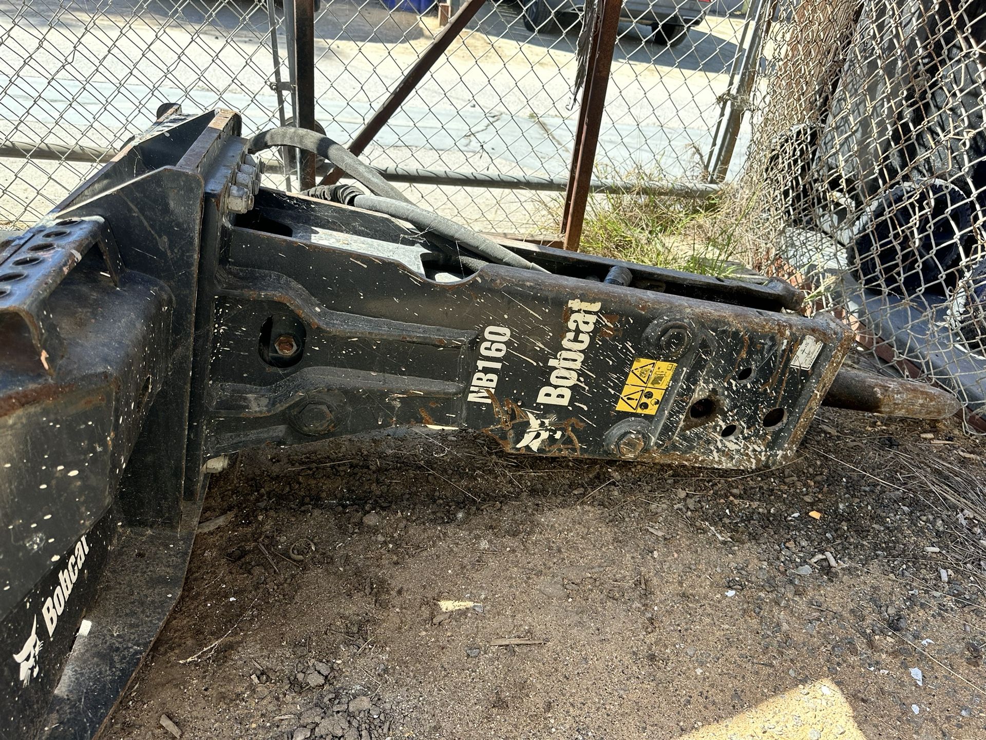 Bobcat