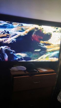 Tv.55 inch