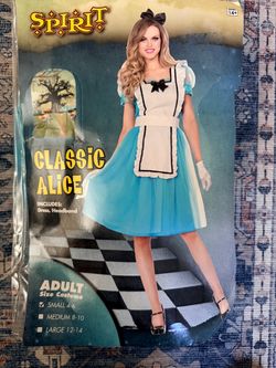 Woman’s Alice in Wonderland Halloween costume