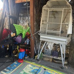 Bird Cage 