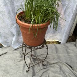 Metal Plant Stand FREE DELIVERY