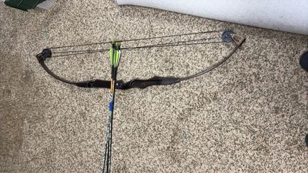 Compound bow and arrow