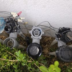 Irrigation Valves