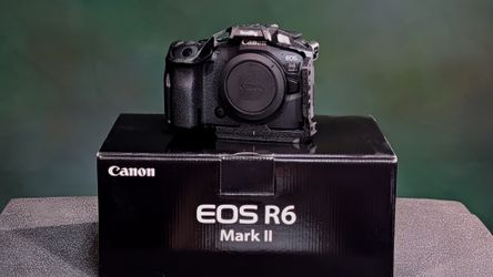 Canon R6 MKII + SmallRig Black Mamba Cage