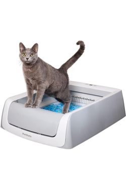 Self Cleaning Cat Litter