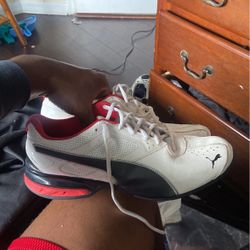 Puma Shoes 