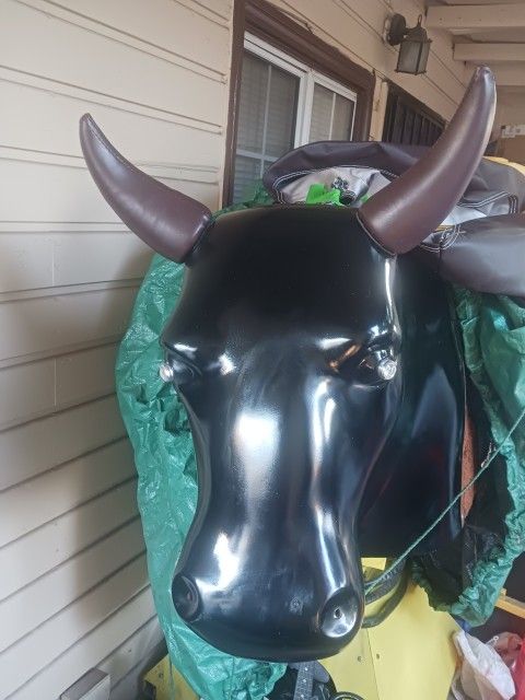 Mechanical Bull