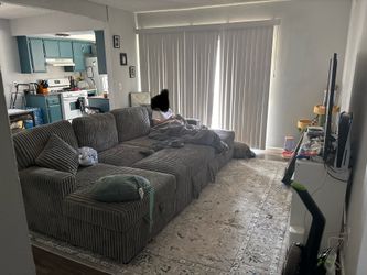 Light grey corduroy couch