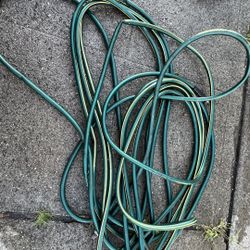 50ft Garden hose